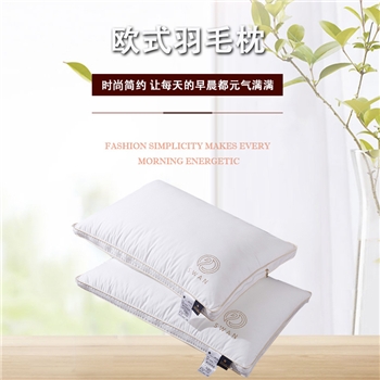 伊伊爱ZX-9YSR-005白色欧式羽毛枕头枕芯48*74cm白色